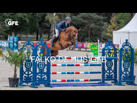 FALKO DE HUS*GFE 2022