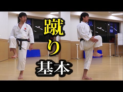 中達也が教える前蹴りの基本（白帯ワールド）How to Mae Geri by Naka sensei, Shiro-obi World