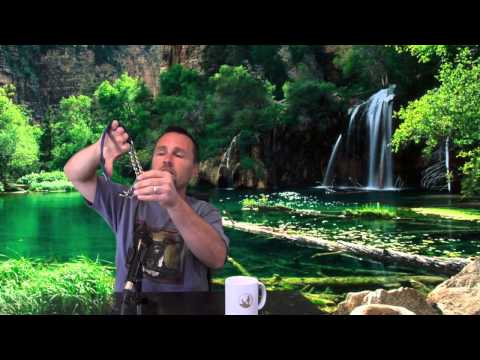 Dog Training: How to Keep Your Dog From Escaping His Collar - Thriving Canine