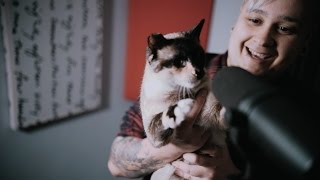 Download lagu Kygo/Selena Gomez - It Ain't Me (Punk Goes Pop) Cover by Diego Teksuo mp3