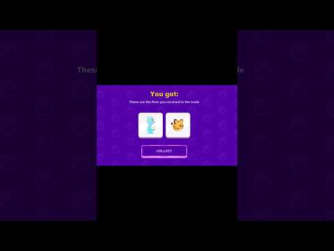 I got wish bear 🌈💫 | Pk xd pet trading 104 | #pkxd #pkxdgame #pkxduniverse #pkxdpet