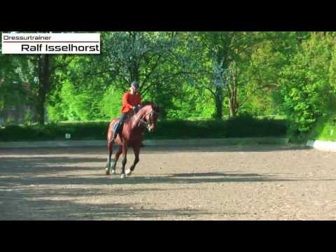 www.dressurtrainer-isselhorst.de - Dressurtraining Klasse M / S