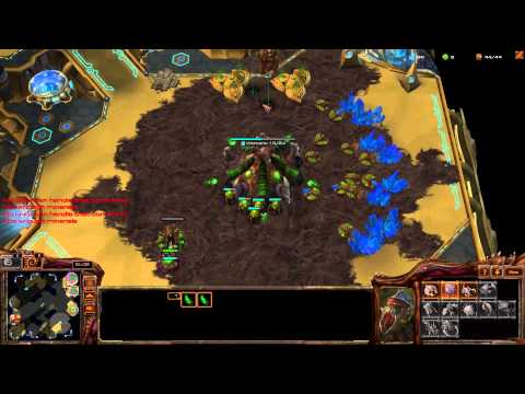 (HD814) DIMAGA vs Babyknight - ZvP - Heart of the Swarm [FR]