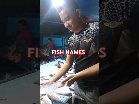 FISH KRISII