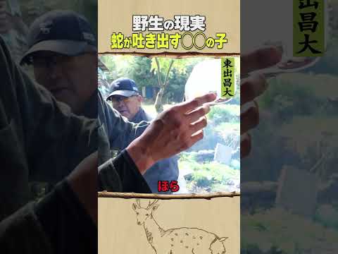 東出昌大 / 野生の現実