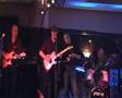 The Fighting Cats - I Put A Spell On You (cover ...