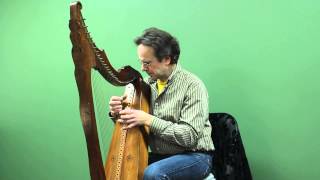 Chad McAnally plays his original composition for the wire-strung harp, 
