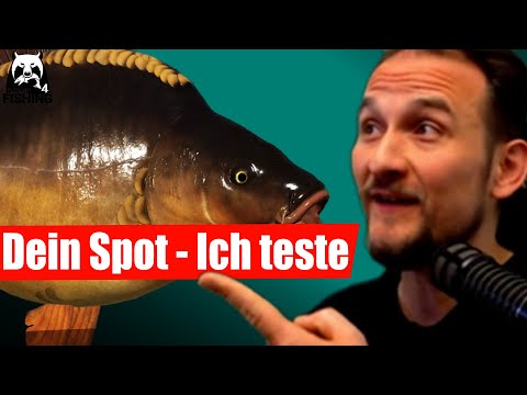 Russian Fishing 4 - Kupfersee - Dein Spot! C2 Superfreak, Futtermische richtig bauen