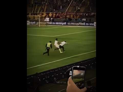 Other Players Vs Fans + This Player