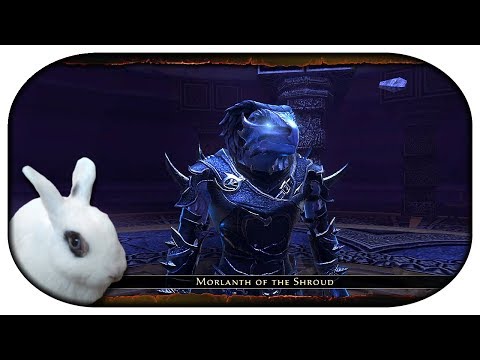 NEVERWINTER: Paladin-LP 🐇 189 - Nacht der Nacht