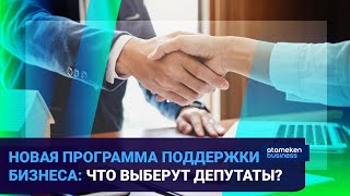 НОВАЯ ПРОГРАММА ПОДДЕРЖКИ БИЗНЕСА: ЧТО ВЫБЕРУТ ДЕПУТАТЫ?