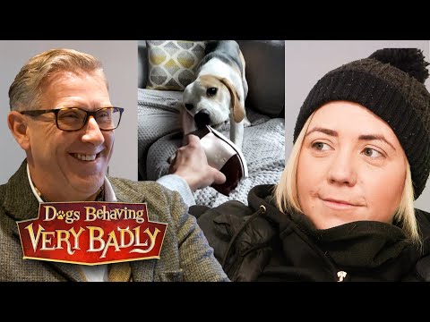 My Partner is Too Soft on Our Dog and I’ve Seriously Had Enough!