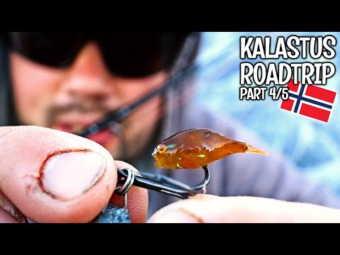 RASVAKALAA JA KALAPUIKKOJA - KALAREISSU NORJAAN 2022, OSA 4 - SKJERVOYBRUA - TROMSSA - SOMMAROYBRUA