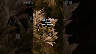 Download lagu #storywaterbaru2023 | semoga jodoh | story wa 10 detik | story wa terbaru 2023 @dkstoryetic mp3 Download lagu #storywaterbaru2023 | semoga jodoh | story wa 10 detik | story wa terbaru 2023 @dkstoryetic mp3