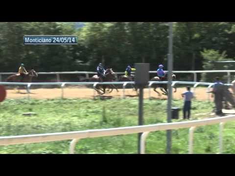 Corse di addestramento Monticiano 24 maggio seconda parte