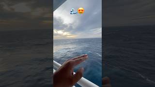 Life at sea 🌊 || Rough Weather || Cruise Ship shorts