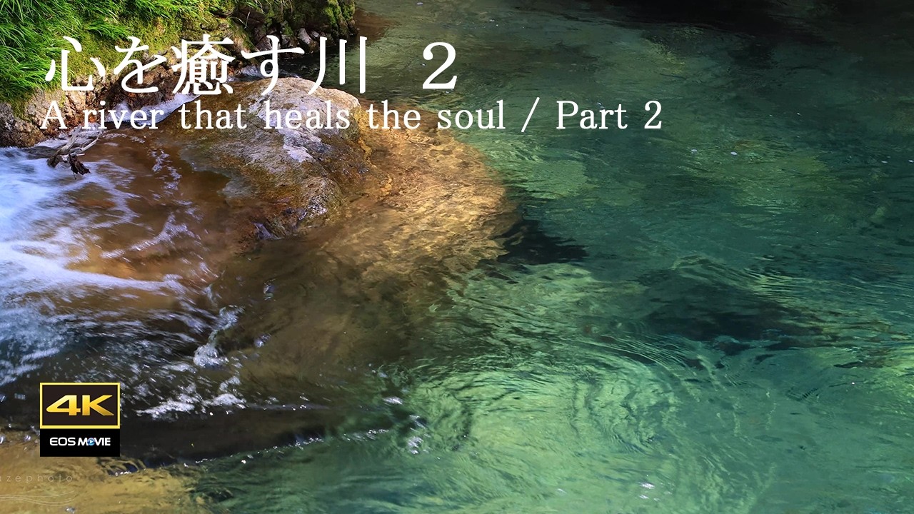 4K映像 + 自然の音 /　湧水(伏流水)の流れる円原川の美しい自然　美しいエメラルドグリーン　その２