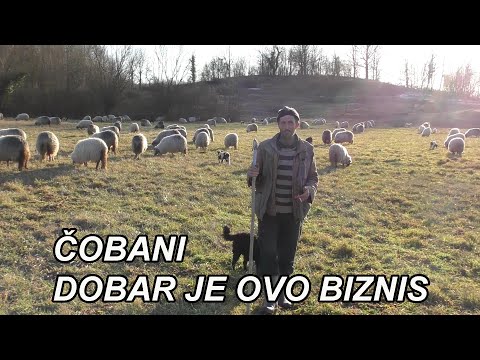 ČOBANI IZ SELA VUKOTIĆI (Zenica) - DOBAR JE OVAJ BIZNIS