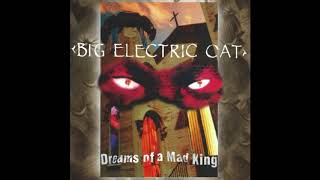 Big Electric Cat - Paris skyes