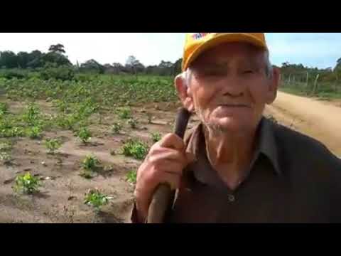 Antônio Romão, agricultor aos 92 anos, de Nova Floresta-PB (2018)