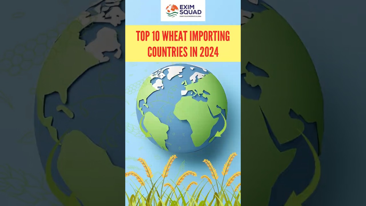 Top 10 Wheat Importing Countries in 2024