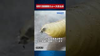 【0612 国際ニュース速報】