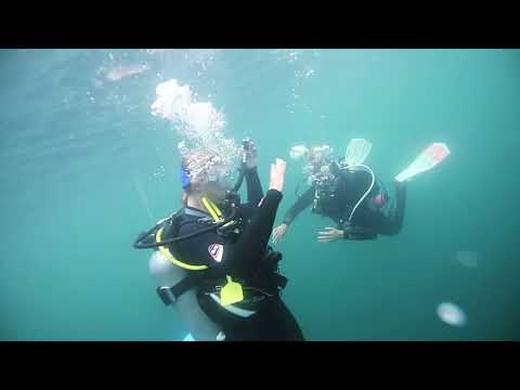 Aliquam II   Ashley & Bella