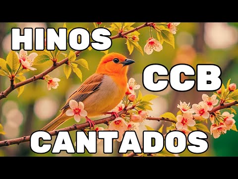 HINOS CANTADOS CCB-  15/12/2025  HINÁRIO 5 - CCB 341,342,343,344,345,346,347,348,349,350,351,352