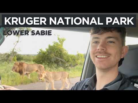 Krüger-Nationalpark – Lower Sabie