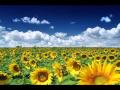 Bajaga - Dobro jutro (Leto) 