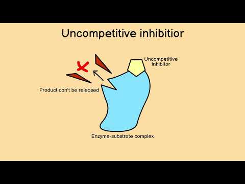 How Enzyme Inhibitors Work: Competitive, Non-Competitive & Uncompetitive