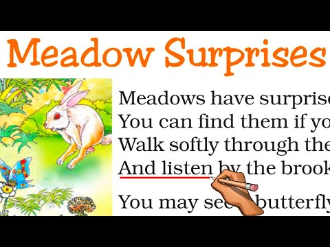 Class 7 English Chapter 8 Poem Meadow Surprises | Meadow Surprises Class 7 English Chapter 8 Poem |