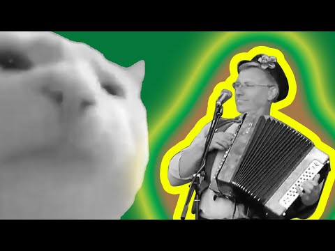 Cat vibing to Šeduvos bernai