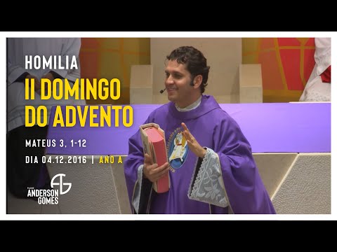 Homily for the 2nd Sunday of Advent (Mt 3:1-12/Year A) - 04/12/16