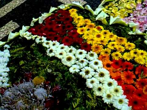 Tapete  dia 16  de Abril de 2015 FESTA da FLÕR - MERCADO