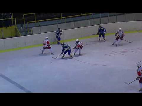 HC Slezan Opava - HC ZUBR Přerov  20.1.2010