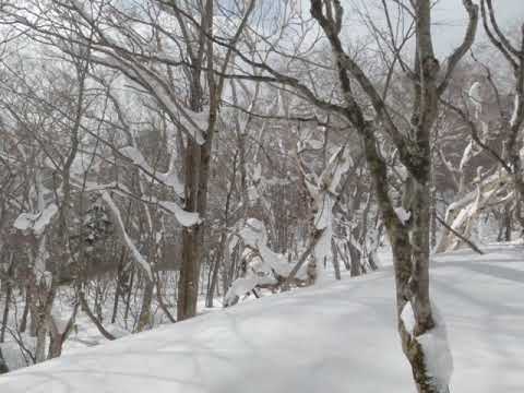 Appi Kogen - Splitboard / Snowboard Touring in Jan 2020