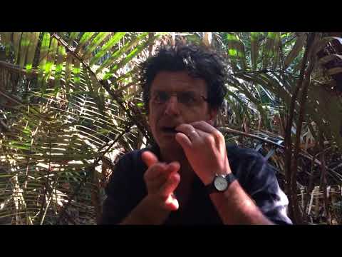 Welcome to the jungle in Goa - Jew's harp groove