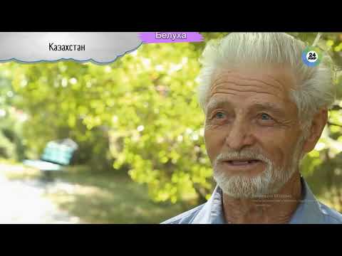 Щербаков Б.В. Гора Белуха