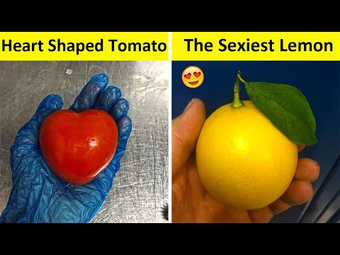 People Who Found The Most Odd Looking Food (NEW PICS!!) Video