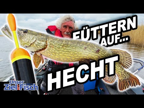 A DIFFERENT START TO THE SEASON - JÖRG OVENS ATTRACTS BIG PIKE - Our goal is fish - The Fishing S...