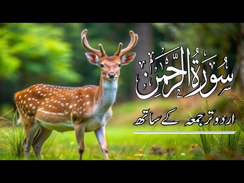 Surah Rahman || Ep=108 || Urdu Tarjuma k Sath | Qari Al Sheikh Abdul Basit Abdul Samad