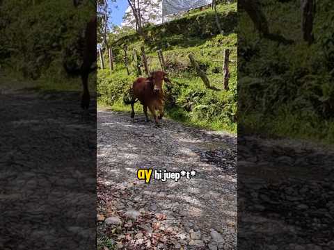 Visitando Sucre, Santander #colombia #vlog #viajes #relaciones