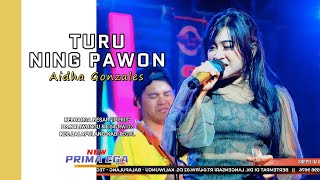 Download lagu TURU NING PAWON - AIDHA GONZALES || KELAURGA BESAR 'IPPRIS' DS.KALIWUNGU RT:04, BALAPULANG-TEGAL mp3
