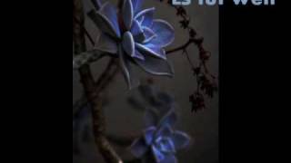 Lafee - Es tut weh lyrics