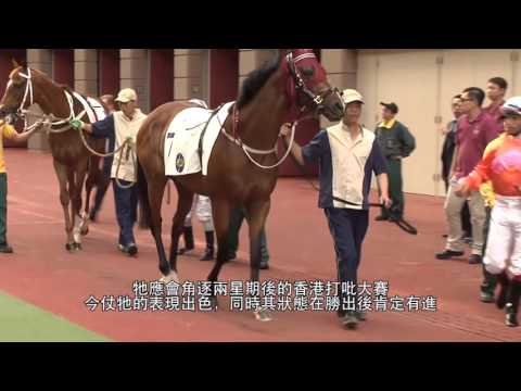 [BMW Hong Kong Derby 2016] Helene Paragon will be much fitter two weeks later