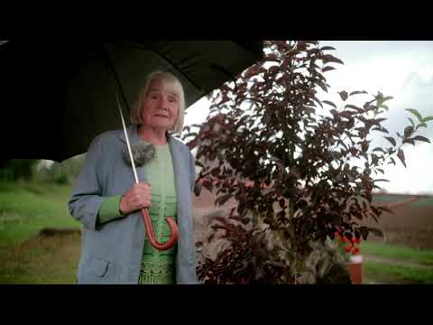 Dikļu pagasta "Liepkalni"