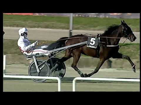 Napoli Trotto 28/01/2022 - 3ª corsa