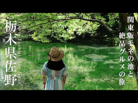 佐野で癒やされる景色｜モネの池と山奥のそば処、ラーメンとかき氷も楽しむ日帰り旅 | 週末おとな旅