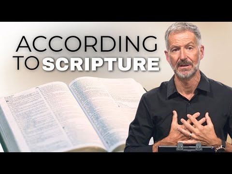 This Is REQUIRED to Be a Steward